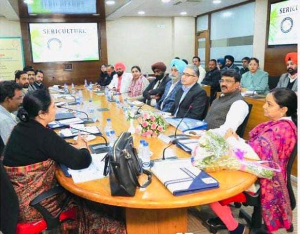 पंजाब में रेशम उत्पादन की तरफ बढ़ा एक और कदम