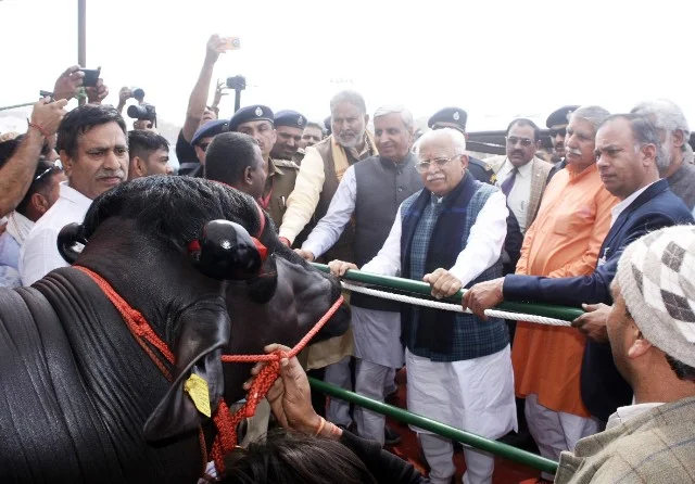 हरियाणा की मुर्राह भैंस दुनियाभर में प्रसिद्ध : मुख्यमंत्री मनोहर लाल