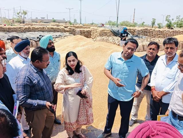 मार्कफेड के एमडी ने किया मंडियों का दौरा