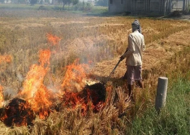 धान फसल अवशेष न जलाएं किसान