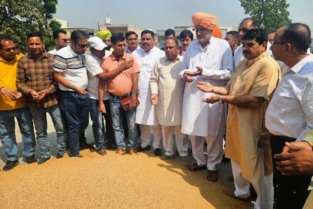 गेहूं का एक-एक दाना एमएसपी पर खरीदेगी सरकार - राणा