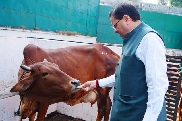 सीएम पुष्कर सिंह धामी ने गोवर्धन पूजा पर प्रदेश की समृद्धि की कामना की